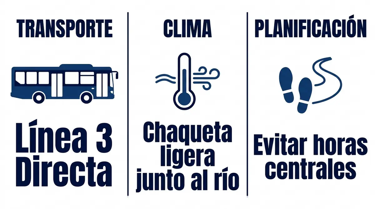Infografía con consejos prácticos de movilidad, clima y planificación para disfrutar de la noche cordobesa en verano.